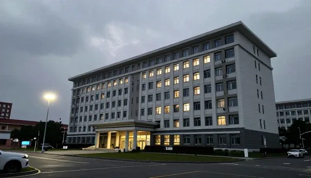 域名稳定性问题处理与性能优化方案